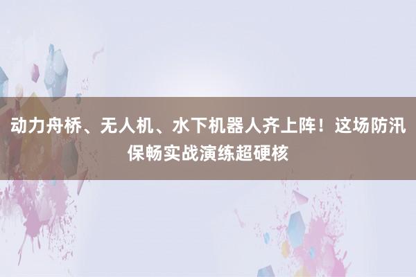 动力舟桥、无人机、水下机器人齐上阵！这场防汛保畅实战演练超硬核